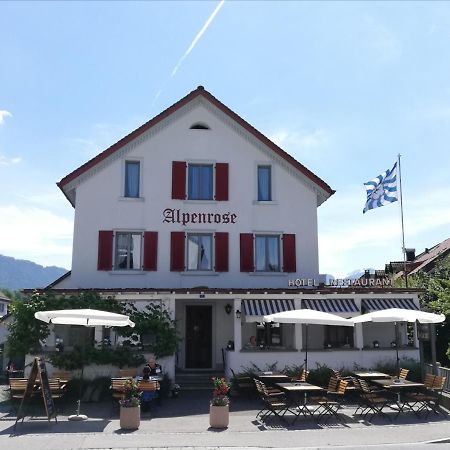 Hotel Alpenrose Maienfeld Exteriér fotografie