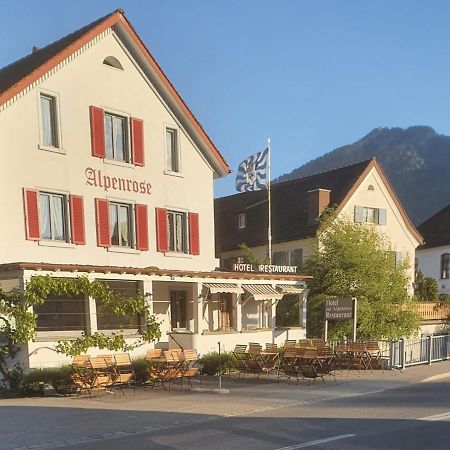 Hotel Alpenrose Maienfeld Exteriér fotografie