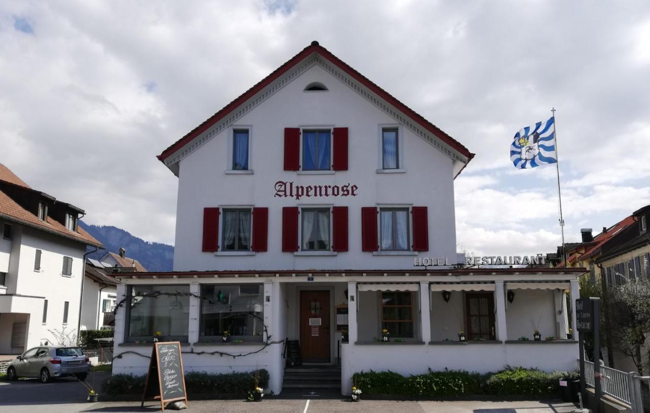 Hotel Alpenrose Maienfeld Exteriér fotografie